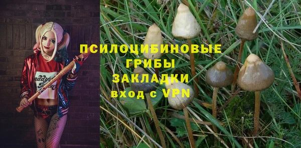 мяу мяу мука Алексин