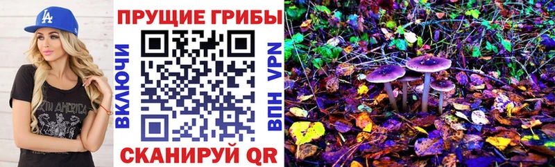 hydra как зайти  Десногорск  Псилоцибиновые грибы Cubensis  купить закладку 